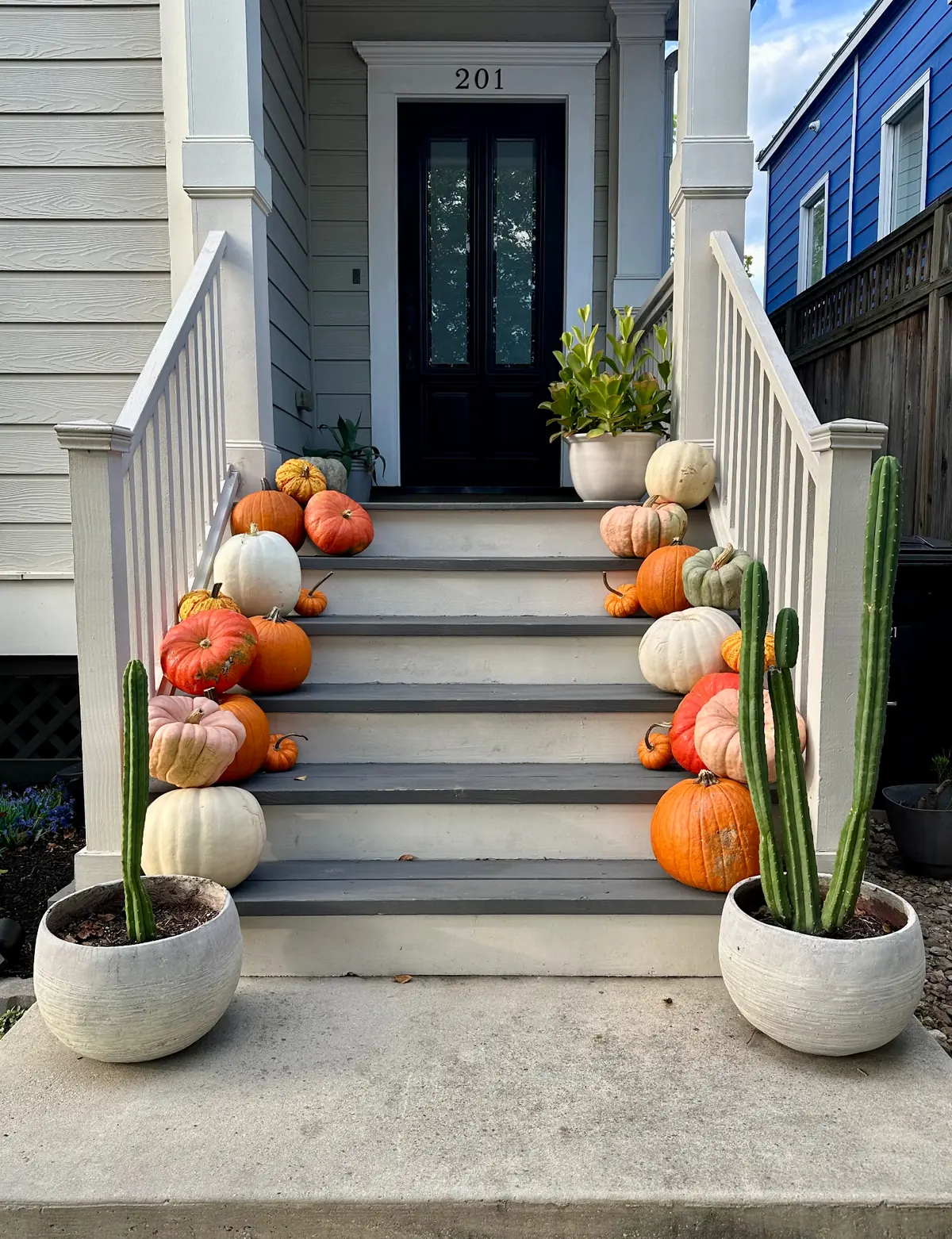 Front steps cascading with heirloom pumpkins beside potted cacti, styled by West Pumpkin Bros